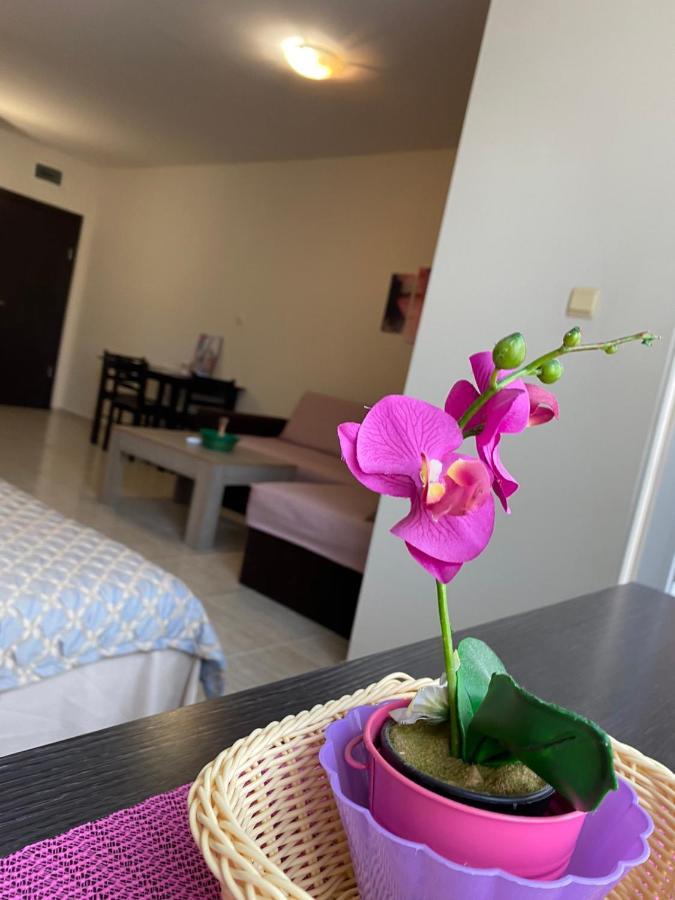 Cozy Apartment Saint Sofia 阳光海滩 外观 照片